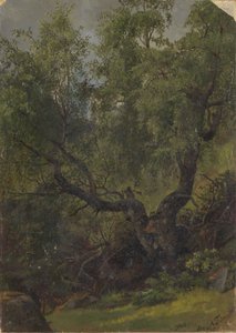 Waldstudie aus Numedal von Adolph Tidemand