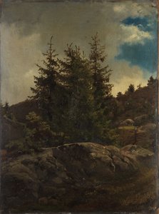 Landschaft bei Nes im Hallingdal von Adolph Tidemand