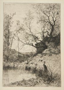 Landschaft
