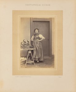 Kanton Thurgau von Adolphe Braun