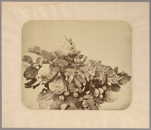 Stillleben mit Quitten und Beeren von Adolphe Braun