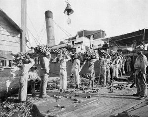 Bananenverladung, Port Antonio, Jamaika, ca. 1905 von Adolphe Duperly and Son