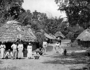 Einheimische Hütten, Jamaika, ca. 1905