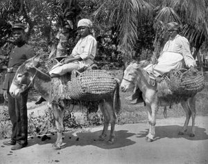 Auf dem Weg ins Gefängnis, Jamaika, um 1905 von Adolphe Duperly and Son