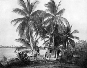 Auf dem Weg zum Blue Hole, Port Antonio, Jamaika, ca. 1905 von Adolphe Duperly and Son