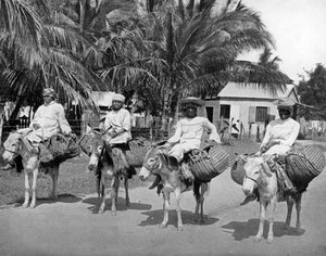 Auf dem Heimweg vom Markt, Jamaika, um 1905 von Adolphe Duperly and Son