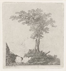 Zwei Bäume von Adriaan Jacob Willem van Dielen
