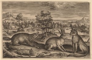 Ein Maulwurf, ein Dachs, ein gehörnter Hase und ein Fuchs von Adriaen Collaert
