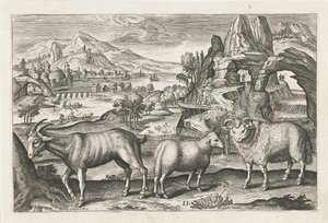 Bock und Schafe (Vierbeinige Tiere, Serie)