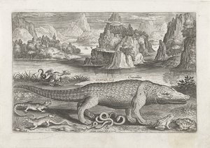 Einige Reptilien und Amphibien an einem Ufer (Fische, Piscivm vivae icones) von Adriaen Collaert