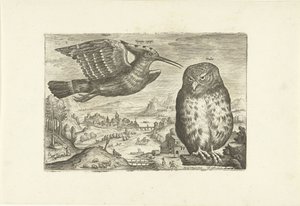 Einige Vögel in einer Landschaft
