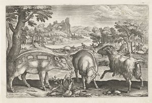 Ziege und Schweine von Adriaen Collaert