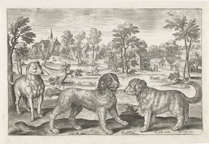 Hunde von Adriaen Collaert