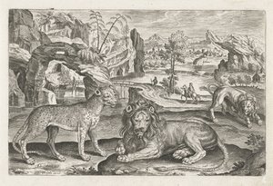 Löwen und Leopard (Serie: Vierpotige dieren, Animalivm Qvaddrvpedvm) von Adriaen Collaert