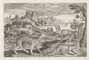 Marder, Eichhörnchen und ein Fuchs von Adriaen Collaert