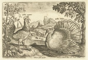 Zwei Hühner in einer Landschaft von Adriaen Collaert