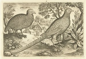 Twee hoenders in een landschap von Adriaen Collaert