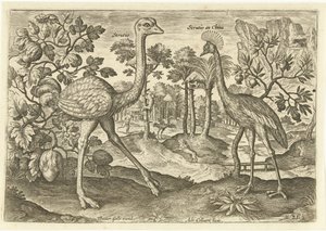 Zwei Laufvögel in einer Landschaft von Adriaen Collaert