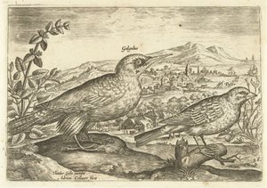 Zwei Vögel in einer Landschaft von Adriaen Collaert