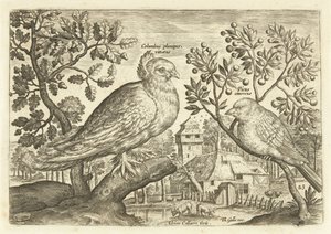 Zwei Vögel in einer Landschaft von Adriaen Collaert