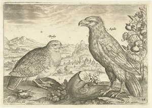 Zwei Vögel in einer Landschaft (Avivm Vivae) (Vögel) von Adriaen Collaert
