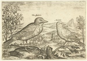 Zwei Vögel in einer Landschaft