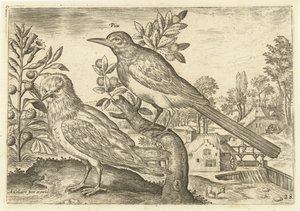 Zwei Vögel in einer Landschaft