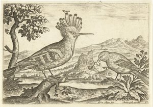 Zwei Vögel in einer Landschaft von Adriaen Collaert