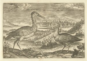 Zwei Vögel in einer Landschaft von Adriaen Collaert