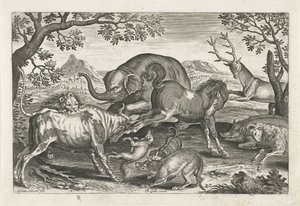 Kämpfende Tiere
Vierbeinige Tiere (Serientitel)
Animalivm Qvaddrvpedvm (Serientitel) von Adriaen Collaert