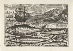 Vier Fische am Strand von Adriaen Collaert