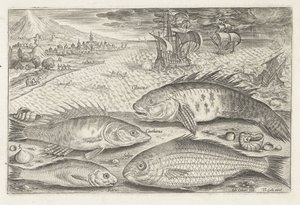 Vier Fische am Strand (Serie: Vissen, Piscivm vivae icones) von Adriaen Collaert