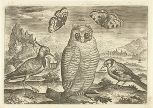 Vögel und Schmetterlinge in einer Landschaft