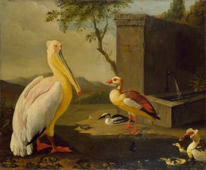 Orientalische Vögel, 1683