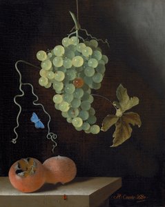 Stillleben mit einem hängenden Traubenbündel, zwei Mispeln und einem Schmetterling von Adrian Coorte