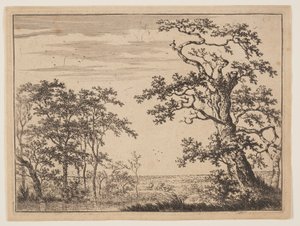 Der Teich von Adriaen Hendricksz. Verboom
