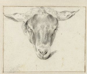 Schafskopf, von vorne von Adriaen van de Velde (attributed to)