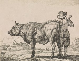 Mann mit Stier von Adriaen van de Velde