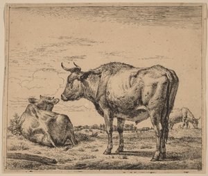 Stehender Bulle von Adriaen van de Velde