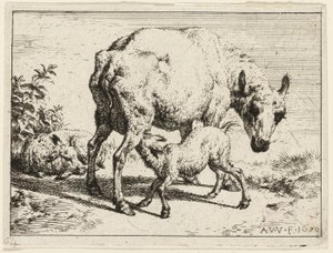 Das Lamm von Adriaen van de Velde