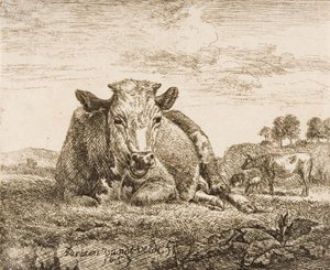 Ohne Titel von Adriaen van de Velde