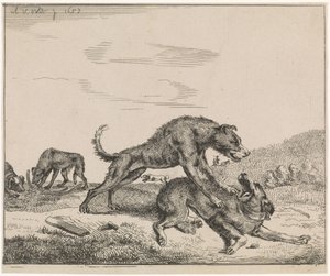 Kämpfende Hunde (Serientitel: Vieh) von Adriaen van de Velde