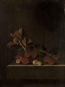 Ein Zweig Stachelbeeren auf einem Steinpostament, 1699