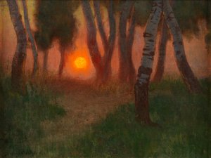Sonnenuntergang in einer bewaldeten Landschaft