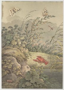 Wasserstück mit Krabbe, Schmetterlingen, Libellen und Sanddorn