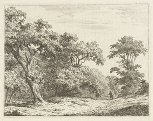 Landschaft mit Bäumen und einem Mann auf dem Weg von Adrianus Serné