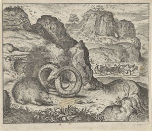 Fabel vom Igel und der Schlange