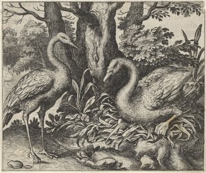Fabel vom Schwan und dem Storch von Egidius  Sadeler (II)
