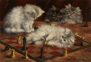 Katzen mit einem Schachbrett