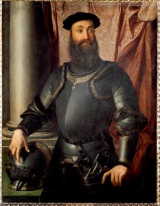 Porträt des Condottiere Stefano Colonna von Agnolo Bronzino